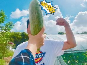 今日爆料网红吃瓜佳佳小拖把,揭秘娱乐圈幕后风云